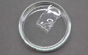 دانشمندان پلاستیک ایجاد می کنند که به سرعت در آب دریا حل می شود دانشمندان پلاستیک ایجاد می کنند که به سرعت در آب دریا حل می شود